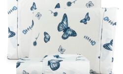 borboleta_azul